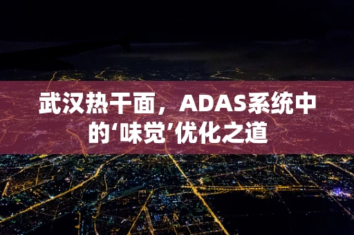 武汉热干面，ADAS系统中的‘味觉’优化之道