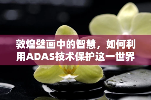 敦煌壁画中的智慧，如何利用ADAS技术保护这一世界文化遗产？
