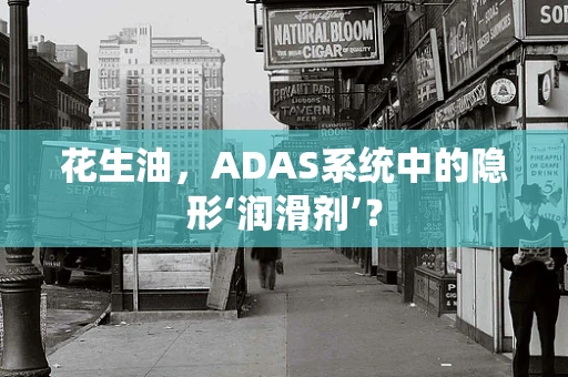 花生油，ADAS系统中的隐形‘润滑剂’？