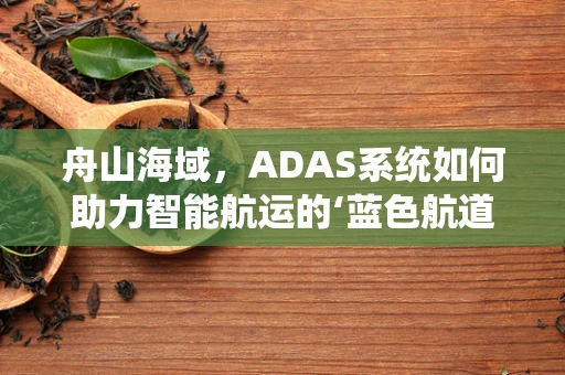 舟山海域，ADAS系统如何助力智能航运的‘蓝色航道’？