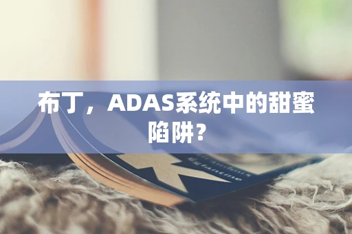 布丁，ADAS系统中的甜蜜陷阱？