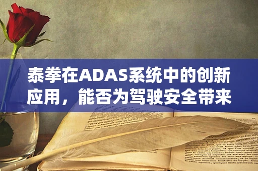 泰拳在ADAS系统中的创新应用，能否为驾驶安全带来新维度？