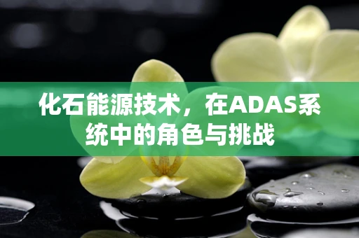 化石能源技术，在ADAS系统中的角色与挑战