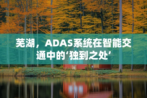 芜湖，ADAS系统在智能交通中的‘独到之处’