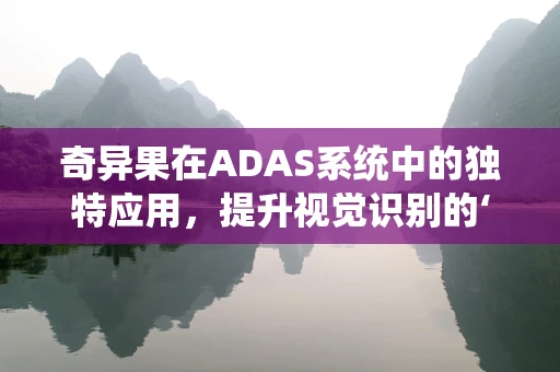 奇异果在ADAS系统中的独特应用，提升视觉识别的‘奇’效？