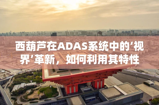 西葫芦在ADAS系统中的‘视界’革新，如何利用其特性提升自动驾驶安全？