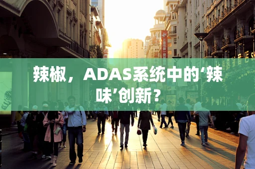 辣椒，ADAS系统中的‘辣味’创新？