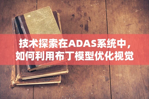 技术探索在ADAS系统中，如何利用布丁模型优化视觉感知？