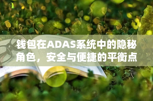 钱包在ADAS系统中的隐秘角色，安全与便捷的平衡点在哪里？