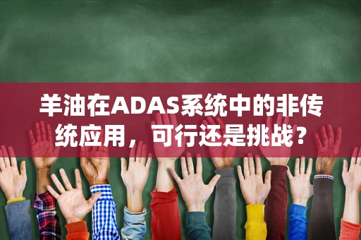 羊油在ADAS系统中的非传统应用，可行还是挑战？