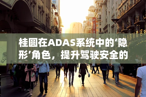 桂圆在ADAS系统中的‘隐形’角色，提升驾驶安全的意外之果？