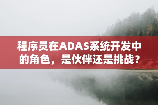 程序员在ADAS系统开发中的角色，是伙伴还是挑战？