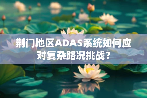 荆门地区ADAS系统如何应对复杂路况挑战？