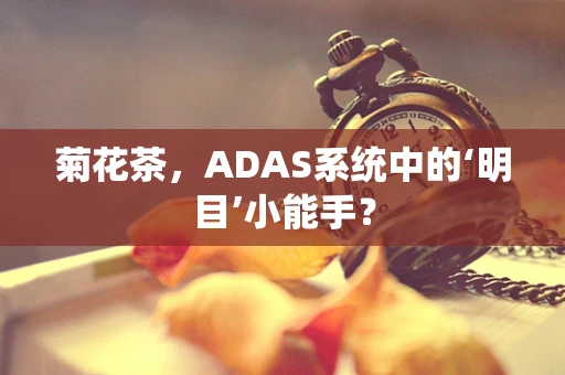 菊花茶，ADAS系统中的‘明目’小能手？