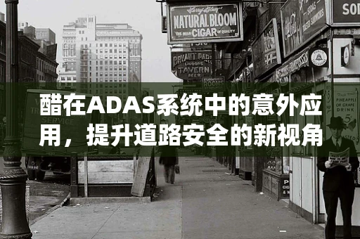 醋在ADAS系统中的意外应用，提升道路安全的新视角？