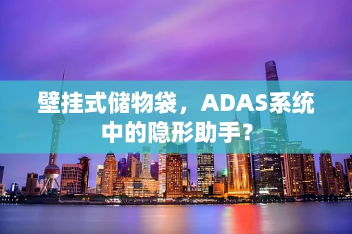 壁挂式储物袋，ADAS系统中的隐形助手？