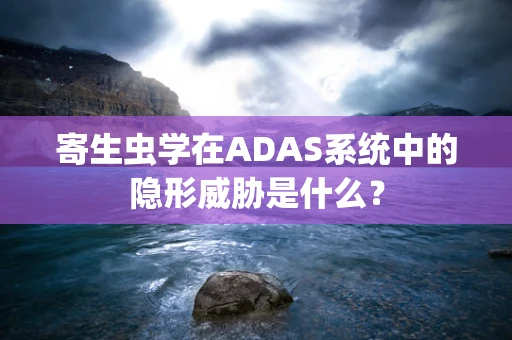 寄生虫学在ADAS系统中的隐形威胁是什么？