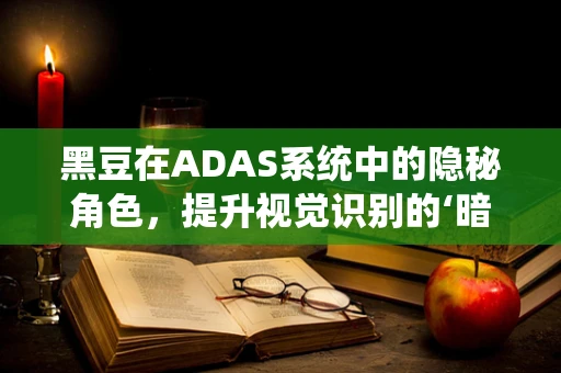 黑豆在ADAS系统中的隐秘角色，提升视觉识别的‘暗夜英雄’？