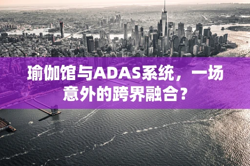 瑜伽馆与ADAS系统，一场意外的跨界融合？