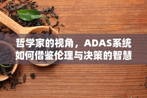 哲学家的视角，ADAS系统如何借鉴伦理与决策的智慧？