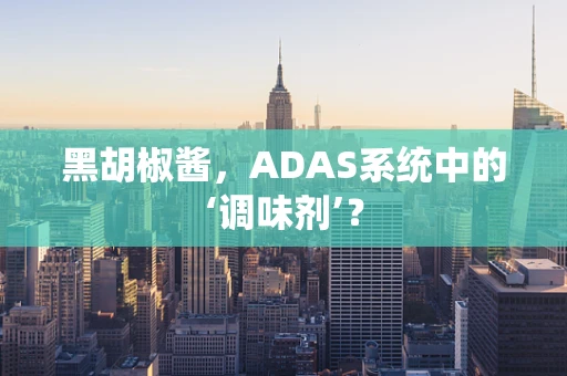 黑胡椒酱，ADAS系统中的‘调味剂’？