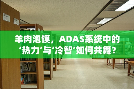羊肉泡馍，ADAS系统中的‘热力’与‘冷智’如何共舞？