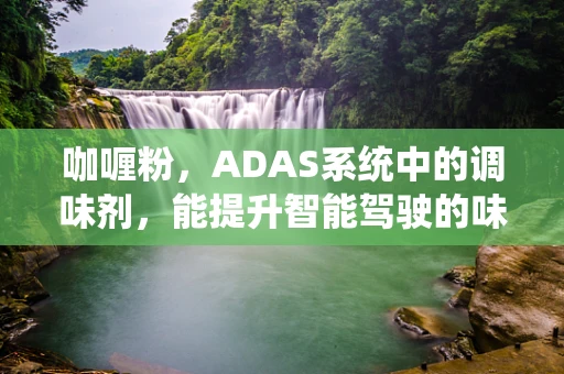 咖喱粉，ADAS系统中的调味剂，能提升智能驾驶的味觉吗？
