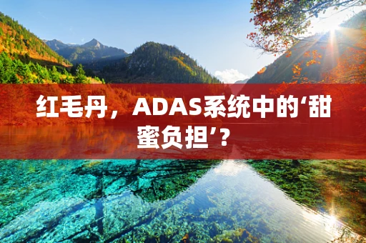 红毛丹，ADAS系统中的‘甜蜜负担’？