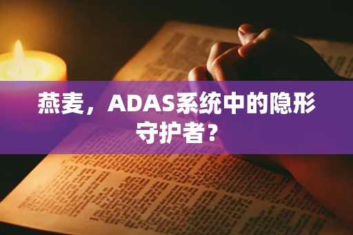 燕麦，ADAS系统中的隐形守护者？
