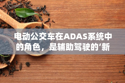 电动公交车在ADAS系统中的角色，是辅助驾驶的‘新宠’还是技术挑战的‘试验田’？