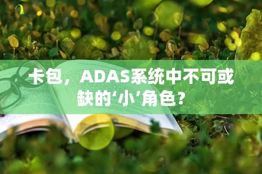 卡包，ADAS系统中不可或缺的‘小’角色？