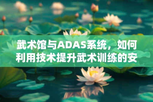 武术馆与ADAS系统，如何利用技术提升武术训练的安全与效率？