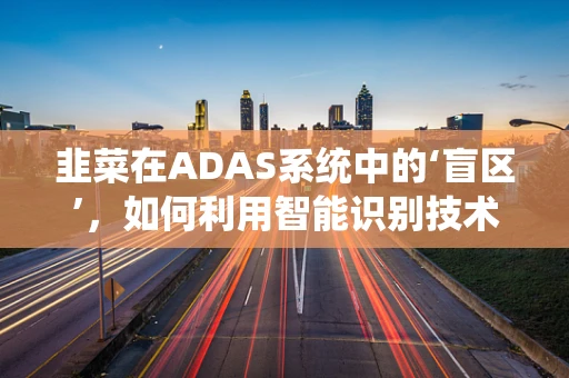 韭菜在ADAS系统中的‘盲区’，如何利用智能识别技术提升安全？