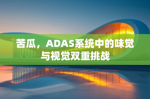 苦瓜，ADAS系统中的味觉与视觉双重挑战