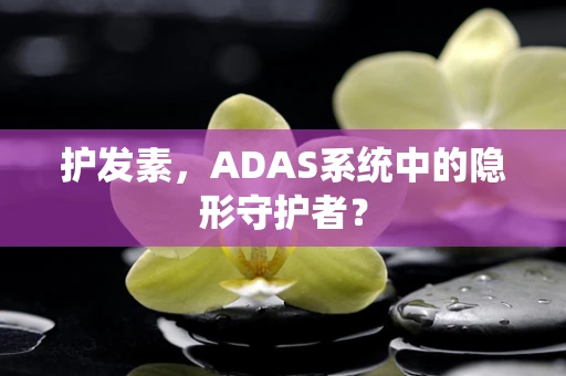 护发素，ADAS系统中的隐形守护者？