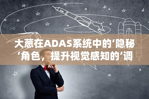 大葱在ADAS系统中的‘隐秘’角色，提升视觉感知的‘调味品’？