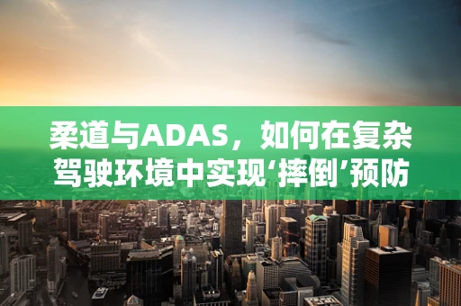 柔道与ADAS，如何在复杂驾驶环境中实现‘摔倒’预防？