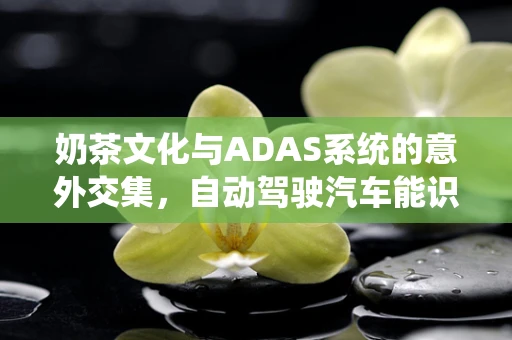 奶茶文化与ADAS系统的意外交集，自动驾驶汽车能识别奶茶诱惑吗？
