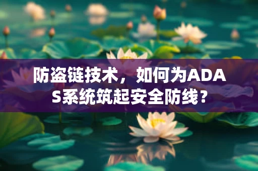 防盗链技术，如何为ADAS系统筑起安全防线？