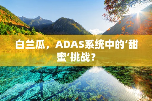 白兰瓜，ADAS系统中的‘甜蜜’挑战？