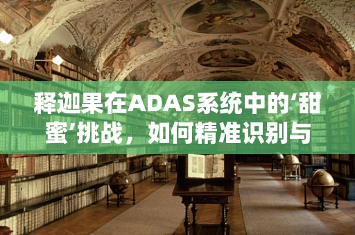 释迦果在ADAS系统中的‘甜蜜’挑战，如何精准识别与安全应用？