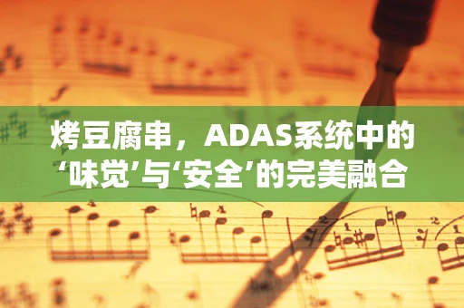 烤豆腐串，ADAS系统中的‘味觉’与‘安全’的完美融合？