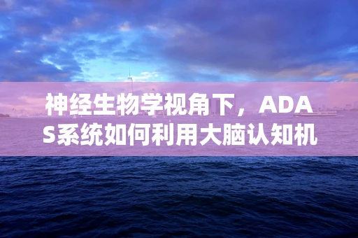 神经生物学视角下，ADAS系统如何利用大脑认知机制提升驾驶安全？