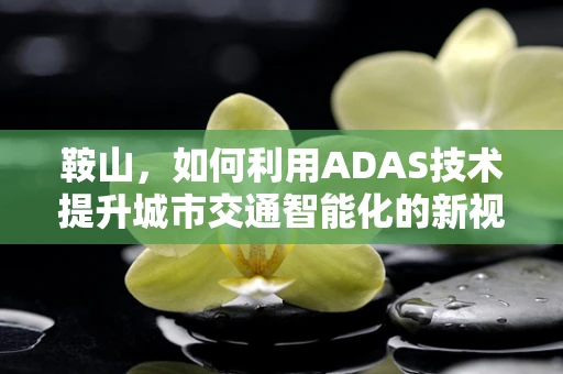 鞍山，如何利用ADAS技术提升城市交通智能化的新视角？