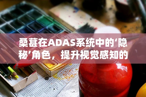 桑葚在ADAS系统中的‘隐秘’角色，提升视觉感知的‘超级水果’?