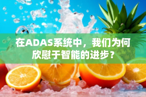 在ADAS系统中，我们为何欣慰于智能的进步？