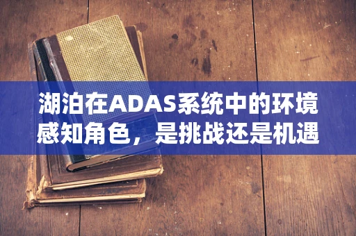 湖泊在ADAS系统中的环境感知角色，是挑战还是机遇？