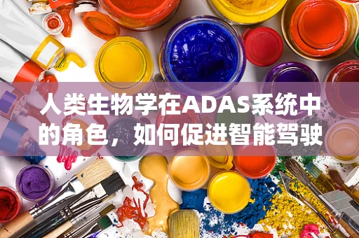 人类生物学在ADAS系统中的角色，如何促进智能驾驶的‘人性化’？