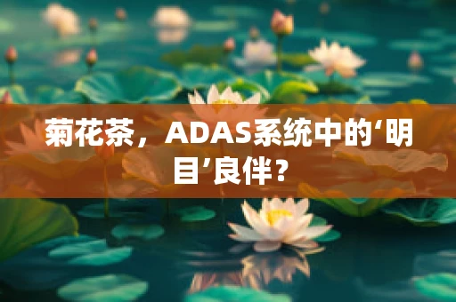 菊花茶，ADAS系统中的‘明目’良伴？