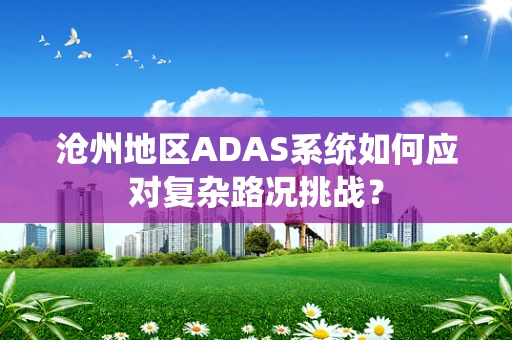 沧州地区ADAS系统如何应对复杂路况挑战？